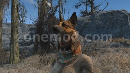 Шлем Собаки