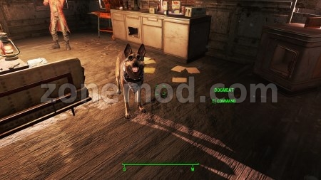 Банданы Псины