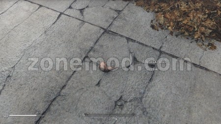 Кошачье Мясо