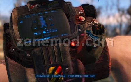 Пип-бой Рейдеров