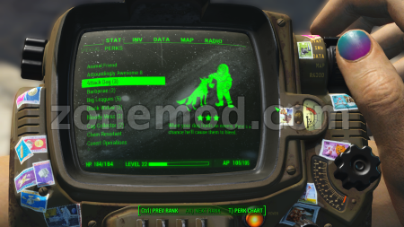 Новый Фин Пипбоя Белка и Стрелка