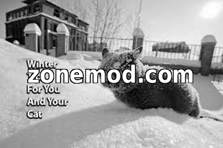 Автомат МК14