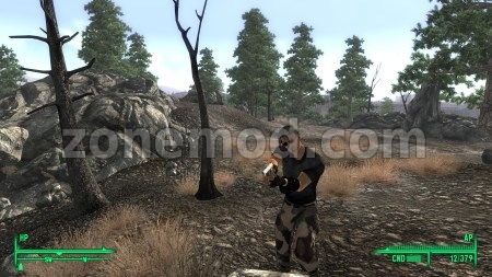Штаны Woodland