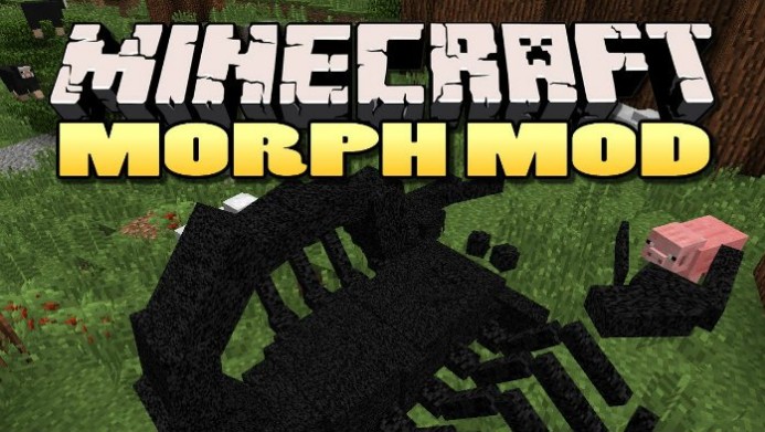 Морфы