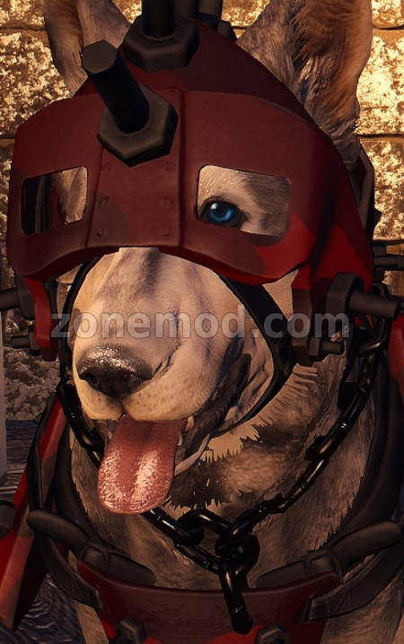 Черно-красный ошейник