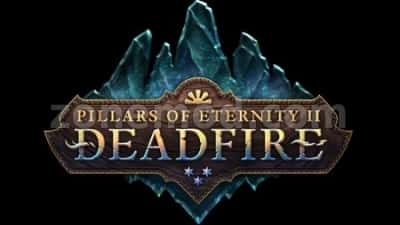 Ждем Pillars of Eternity 2